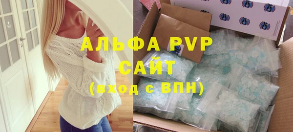 индика Гусев