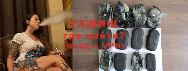 индика Гусев