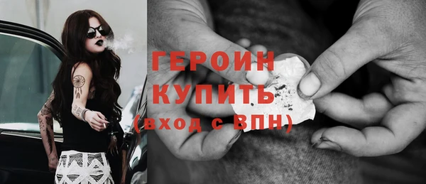 индика Гусев