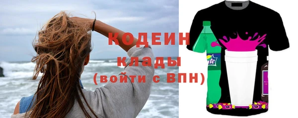 индика Гусев