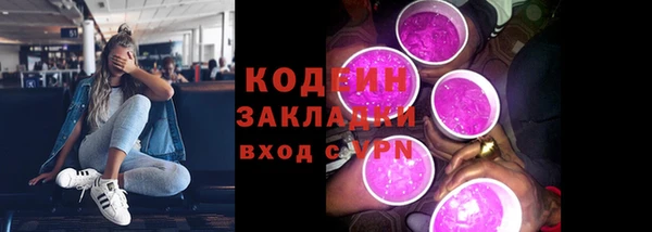 хмурый Гусь-Хрустальный