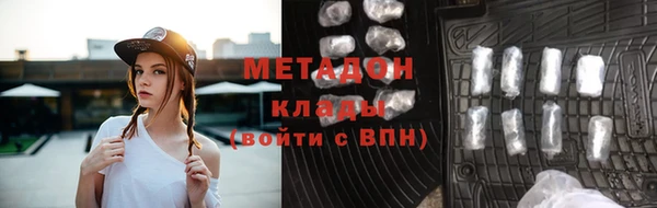 индика Гусев