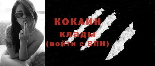 индика Туринск