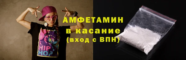 индика Гусев