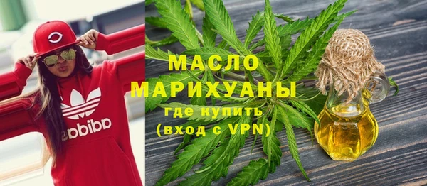 индика Гусев