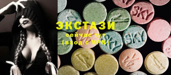индика Гусев