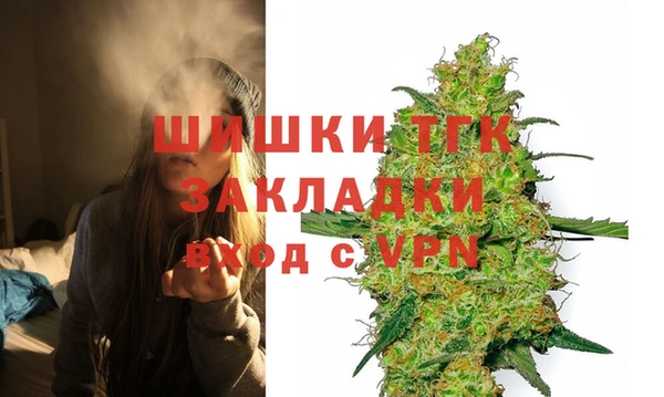 индика Гусев