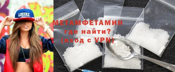 индика Гусев