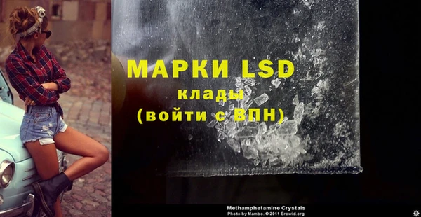 хмурый Гусь-Хрустальный
