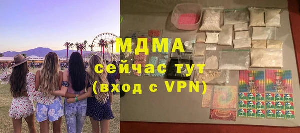 индика Гусев