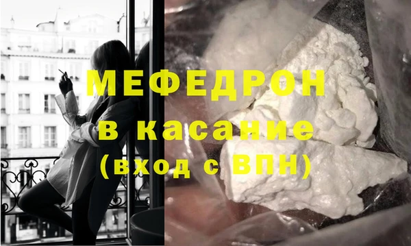 индика Гусев