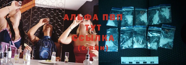 хмурый Гусь-Хрустальный