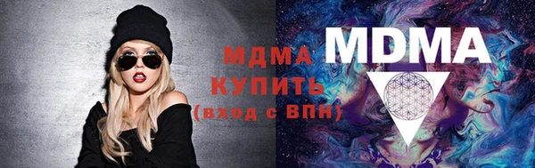 индика Гусев