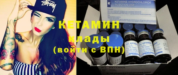 индика Гусев