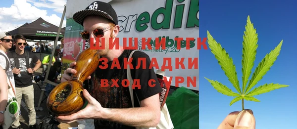 индика Гусев