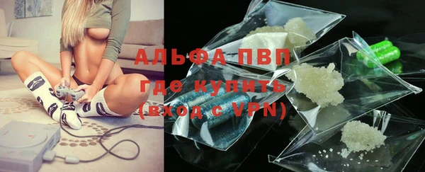 хмурый Гусь-Хрустальный