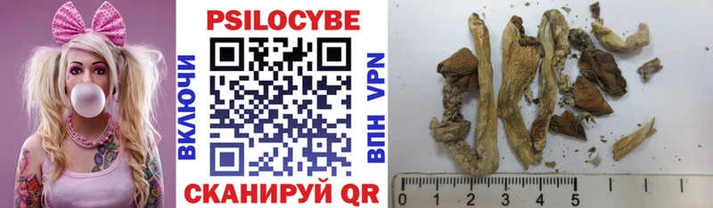 Галлюциногенные грибы Psilocybine cubensis  Озёры 